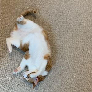 Meet your Posher, Artwinny